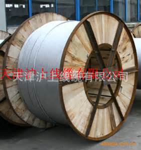 鋼芯鋁絞線