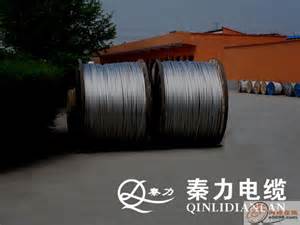 鋼芯鋁絞線市場!35kV及以下交聯(lián)電纜、塑力電纜、控制電纜、特