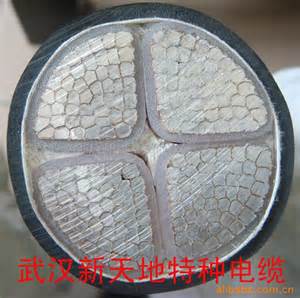 鋼芯鋁絞線生產(chǎn)廠家陜西秦力電纜廠(圖)_鋼芯鋁絞線符號(hào)_佳縣鋼芯鋁絞線